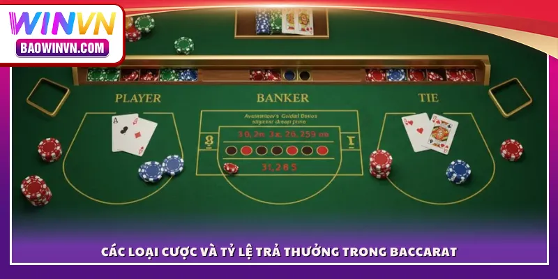 Các loại cược và tỷ lệ trả thưởng trong Baccarat