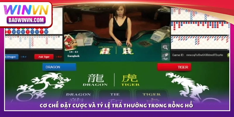 Cơ chế đặt cược và tỷ lệ trả thưởng trong Rồng Hổ 