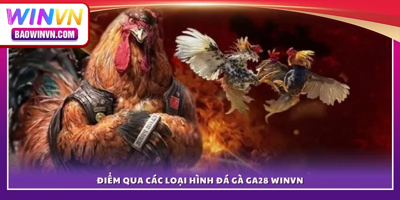 Điểm qua các loại hình đá gà GA28 WINVN
