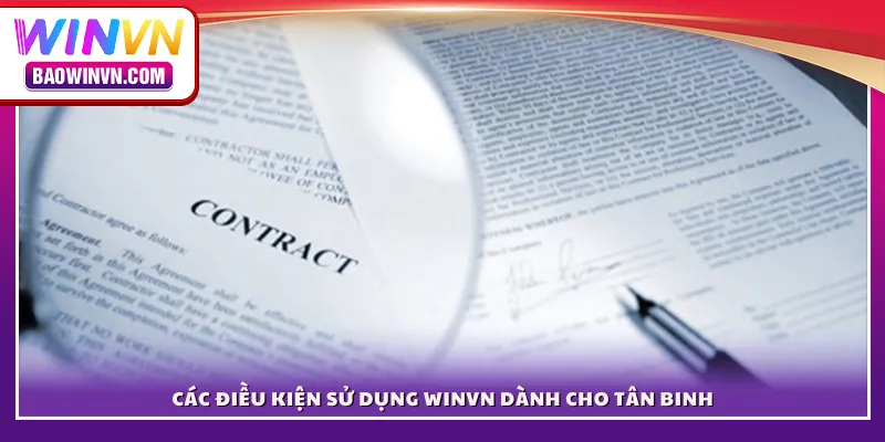 Điều khoản điều kiện Các điều kiện sử dụng WINVN dành cho tân binh